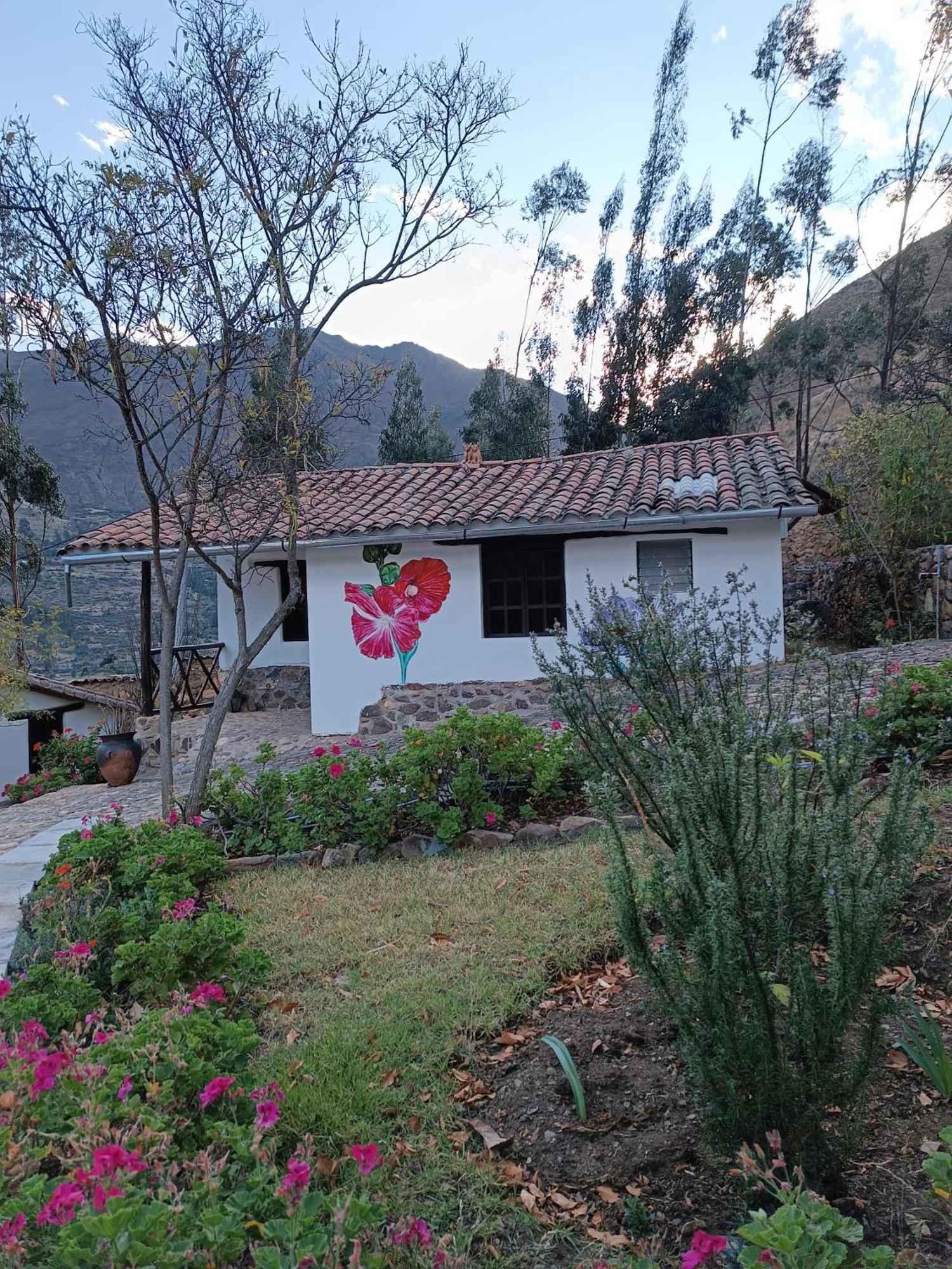 Tika Bungalows Hotel 奥兰太坦波 外观 照片